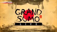 NHK Grand Sumo Live July 2019 720p HDTV x265 AAC MVGroup Forum