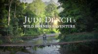 ITV Wild Borneo Adventure 1of2 1080p HDTV x265 AAC