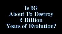 The Truth About 5G - Dr  Graham Downing 720p