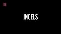 BBC Inside the Secret World of Incels 1080p HDTV x265 AAC