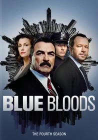 Blue.Bloods.S04.FRENCH.LD.DVDRip.XviD-RNT