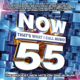 Now That's What I Call Music! vol  55 US (2015) [FLAC]