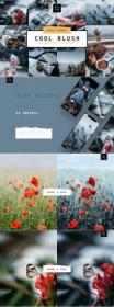 DesignOptimal - CreativeMarket - 5 Cool Blush Lightroom Presets Pack 4001769