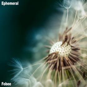 Fobee - Ephemeral - 2019 (320 kbps)