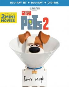 The Secret Life of Pets 2 2019 BluRay 1080p TrueHD Atmos 7 1 HEVC-DDR[EtHD]