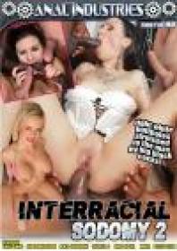 [BDWC] Interracial Sodomy 2 (Anal Industries) (2018) Anal, WEB-DL