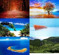 DesignOptimal - Amazing Nature Wallpapers Pack (203)