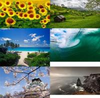 DesignOptimal - Amazing Nature Wallpapers Pack (204)