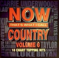 VA - Now That's What I Call Country Vol 6 (2013) [FLAC]