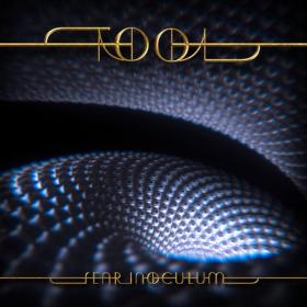 Tool - Fear Inoculum (2019) [320]