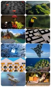 DesignOptimal - Beautiful Mixed Wallpapers Pack 961