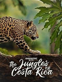 Animalogic Wild The Jungles of Costa Rica 1080p HDTV x264 AAC