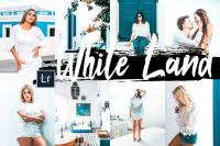 5 White Land Desktop Lightroom Presets and ACR preset - 346546