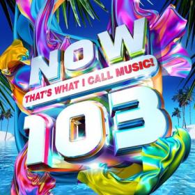 Now That's What I Call Music! 103 UK [2019] [FLAC]