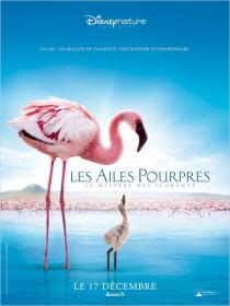 Les Ailes Pourpres 2008 FRENCH DVDRip XViD-PUTCH