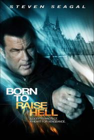 Born To Raise Hell 2011 TRUEFRENCH DVDRIP XViD-FiCTiON