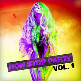 Non Stop Party Vol 1 (2019)
