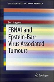 EBNA1 and Epstein-Barr Virus Associated Tumours