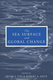 The Sea Surface and Global Change