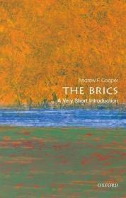 The BRICS- A Very Short Introduction