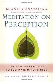 Meditation on Perception- Ten Healing Practices to Cultivate Mindfulness