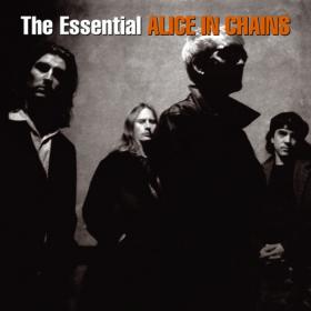 Alice In Chains - The Essential Alice In Chains (2006) FLAC vtwin88cube