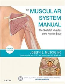 The Muscular System Manual- The Skeletal Muscles of the Human Body, 4th Edition (True PDF)