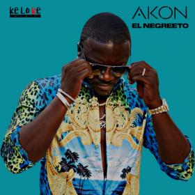 Akon - El Negreeto [2019] 320