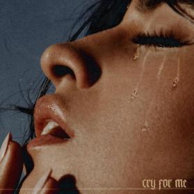 Camila Cabello - Cry for Me flac