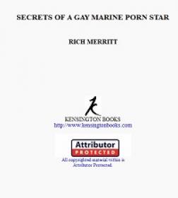 Secrets Of A Gay Marine Porn Star By Rich Merritt