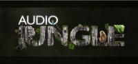 Audiojungle - Symphonic Rock 2292063