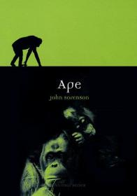 Ape (Animal Series) by John Sorenson