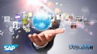 Udemy - SAP NetWeaver Fundamentals