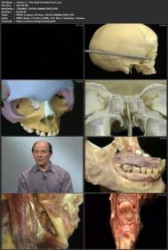 Acland's DVD Atlas of Human Anatomy