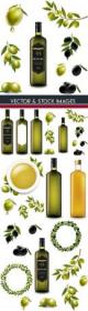 Olive oil in bottle and olive branch illustration