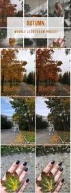 Lightroom Mobile Autumn Preset 4190986