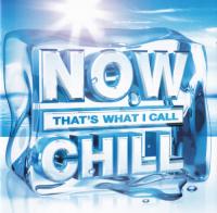 VA - Now That's What I Call Chill (2012) (320)