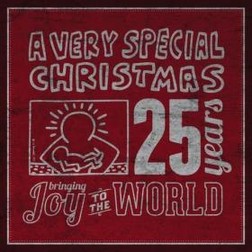 VA - A Very Special Christmas (25 year anniversary edition) (320)