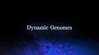 Dynamic Genomes Series 1 2of2 The DNA Switch 1080p HDTV x264 AAC