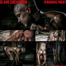 Slave Greyhound 10 November 2019