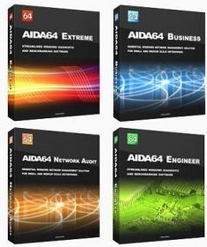 AIDA64 Extreme  Engineer  Business Edition  Network Audit 6.20.5300 RePack (&Portable) by TryRooM
