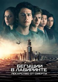 Maze Runner The Death Cure 2018 Open Matte WEBRip-AVC Dub