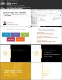 PluralSight - Inspecting Open Source Software Packages for Security and License Compliance