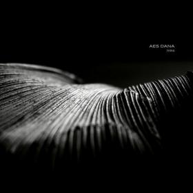 Aes Dana - Inks (2019)