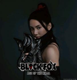 黑狐：忍者时代 BLACKFOX Age of the Ninja 2019 HD1080P X264 AAC Japanese
