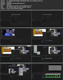 Adobe Premiere Pro- All the Basics in an Hour