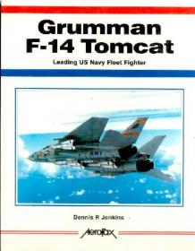 Grumman F-14 Tomcat- Leading US Navy Fleet Fighter