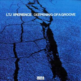 LTJ Xperience - Deepening Of A Groove - 2019 (320 kbps)