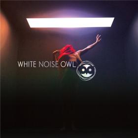 White Noise Owl - Condition Critical - 2019 (320 kbps)