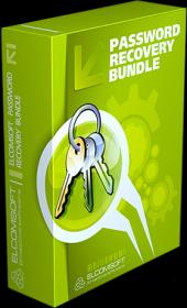 Password Recovery Bundle 2019 Enterprise 5.2 Retail + Keygen